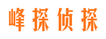 南郊市侦探公司